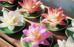 Floating candle / Lotus