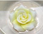 Floating candle / Rose