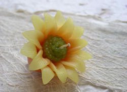 Floating candle / Sunflower