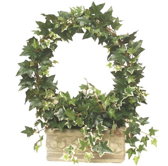 Ivy wreath topiary