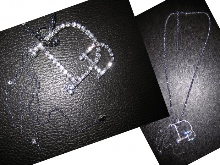 Long Interlocking Ring Multi Charm Lariat Letter D Crystal Pendant Necklace-Silver (FREE Shipping)