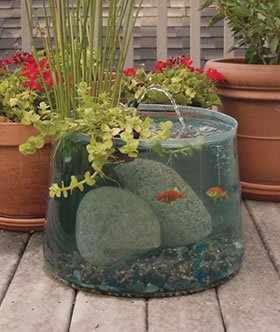 Pop Up Aquarium