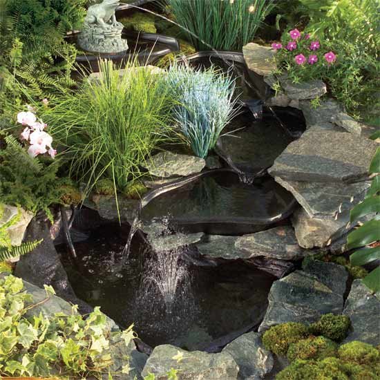 Pond Kit