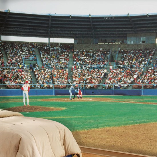 Play Ball Wall Mural