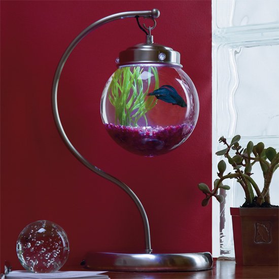 Satin Nickel Aquabetta Illuminated Aquarium Lamps