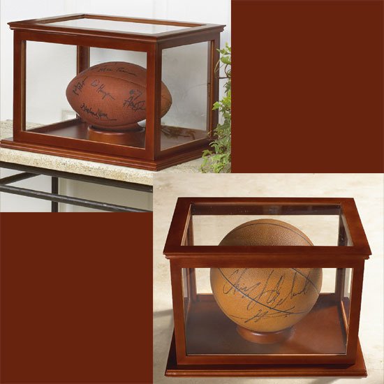 Football or Basketball Collectible Display Case