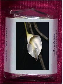 150 Wedding or Bridal Shower Nugget Candy Wrappers (Calla Lillies)