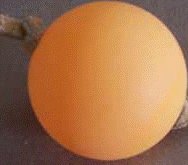 Rattle Ball Cat Toy