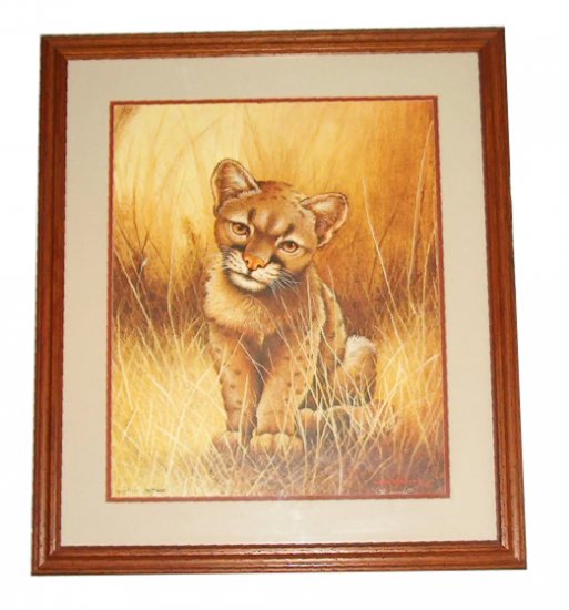 Jim Oliver wildlife print "Cougar Cub"