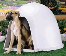 buby home