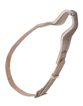 hours leash