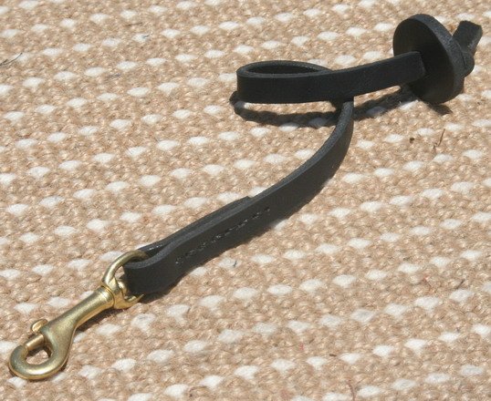 dogs leash