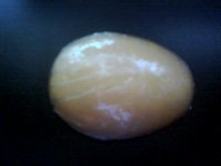 Handcrafted Glycerin Based Goats Milk & Aloe Soap