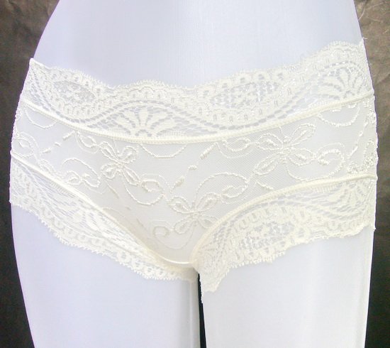 White sheer lace nylon briefs panties lingerie *Free shipping*