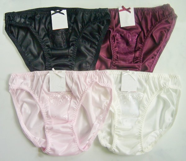 4 Pair Sexy Sheer Nylon Bikini Panties S- M