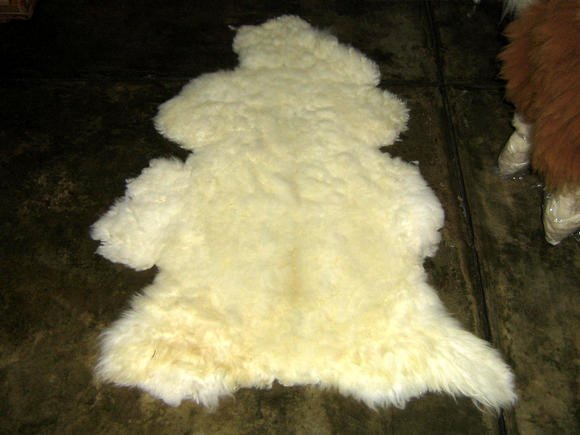 White sheep skin from the Andean