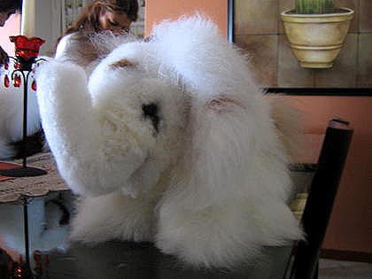 Elephant,handmade of Alpaca fur, soft toy
