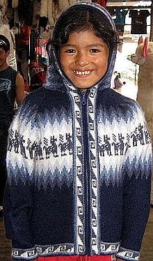 Blue hooded Cardigan,jacket made of alpacawool