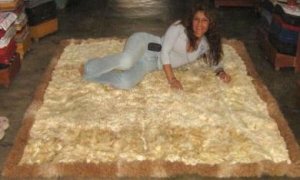 Light brown baby alpaca fur rug from the Andes of Peru, 220 x 200 cm