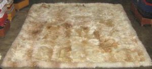 Soft baby alpaca fur with light beige and white spots, 300 x 200 cm
