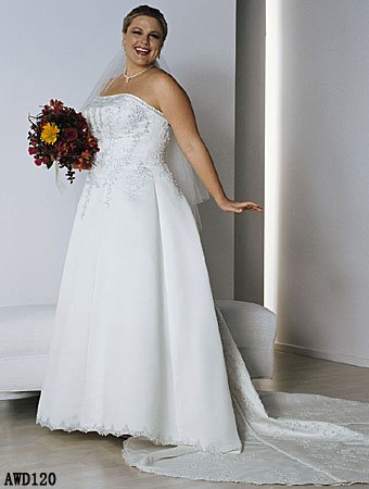 Alfred D'Angelo AWD 0120