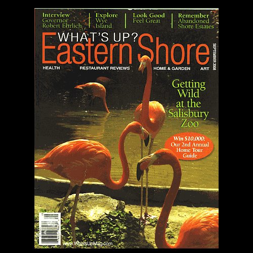 What’s Up? Eastern Shore – September 2008 - Good