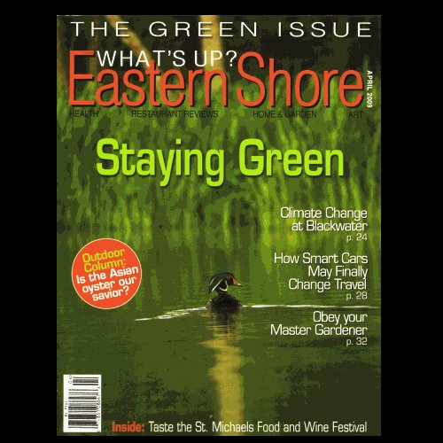 What’s Up? Eastern Shore – April 2009 - VG to Fine!