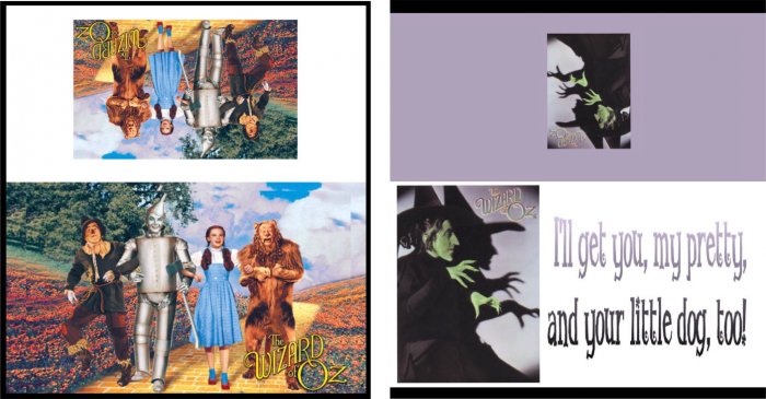 WIZARD OF OZ Dorothy Judy Garland CHECKBOOK Cover