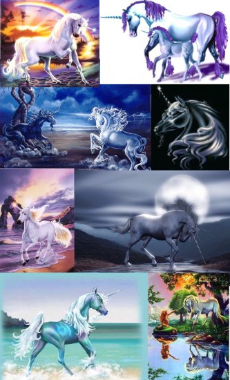Set of 8 UNICORN Fridge Refrigerator Locker MAGNET (S)