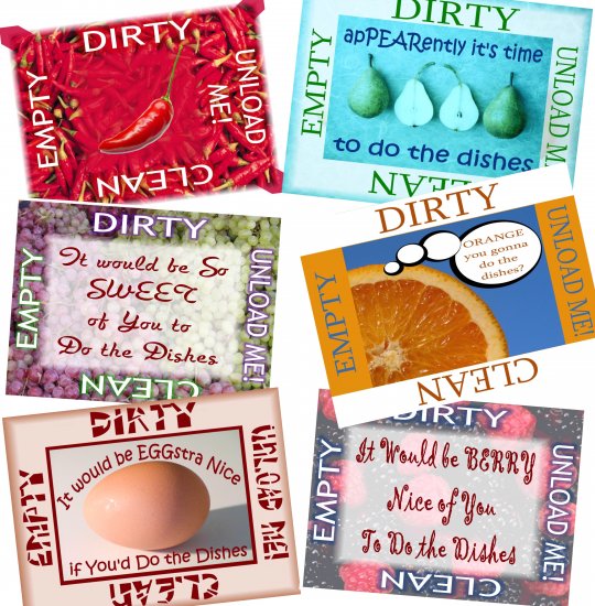 Choose FOOD Pepper Grapes DiShWaSheR Dirty Clean MAGNET