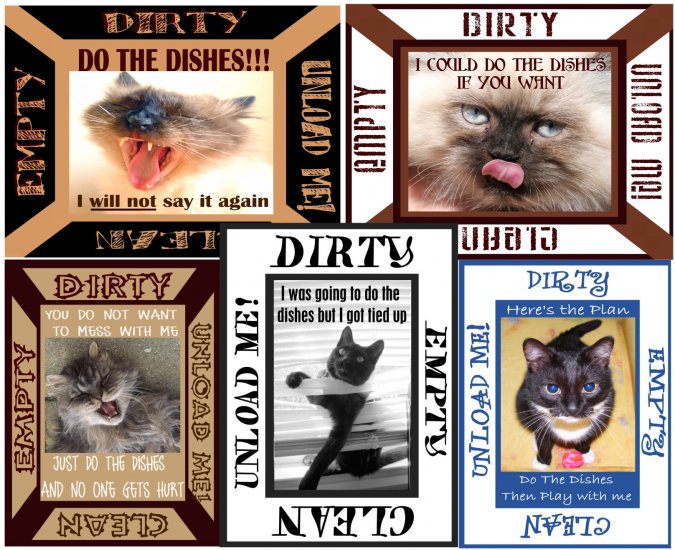 Choose CAT Cats Kitten DiShWaSheR Dirty Clean MAGNET