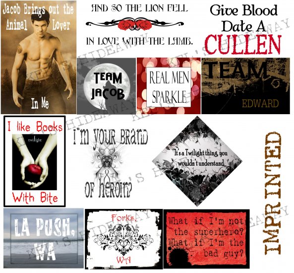 Set 13 TwiLiGHt Saga Edward Funny LaBeL Decal STICKERS