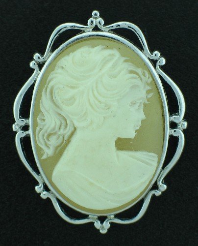 Cameo Revival Brooch with Silver Tone Frame BRO2040