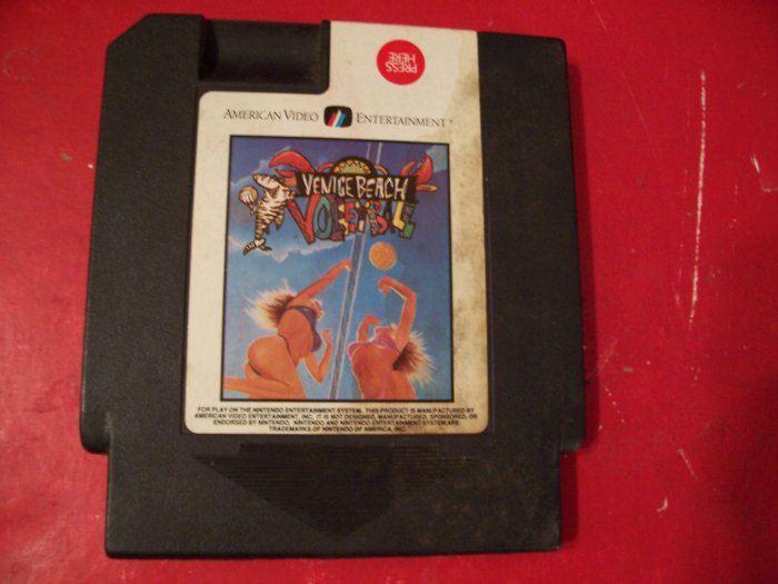 VENICE BEACH VOLLEYBALL (Nintendo) *TESTED* IMPORT