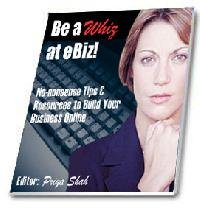 Be a Whiz at eBiz eBook