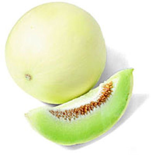 Honeydew MELON rich in vitamin C 15 seeds