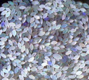 100 pieces natural opals from Sri Lanka in Marquise cut.FREE shipping.