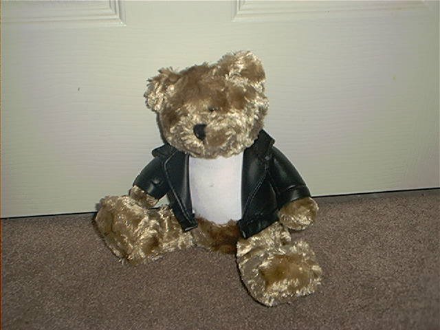 GALERIE BROWN PLUSH BEAR & LEATHER LIKE JACKET EXC CONDITION