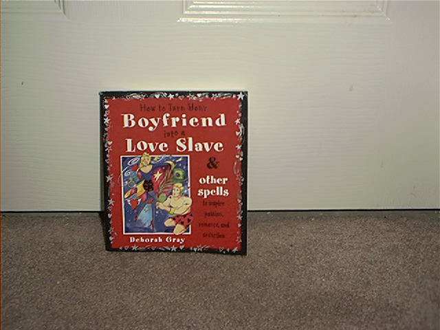 HOW TO TURN YOUR BOYFRIEND INTO A LOVE SLAVE BOOK BRAND NEW