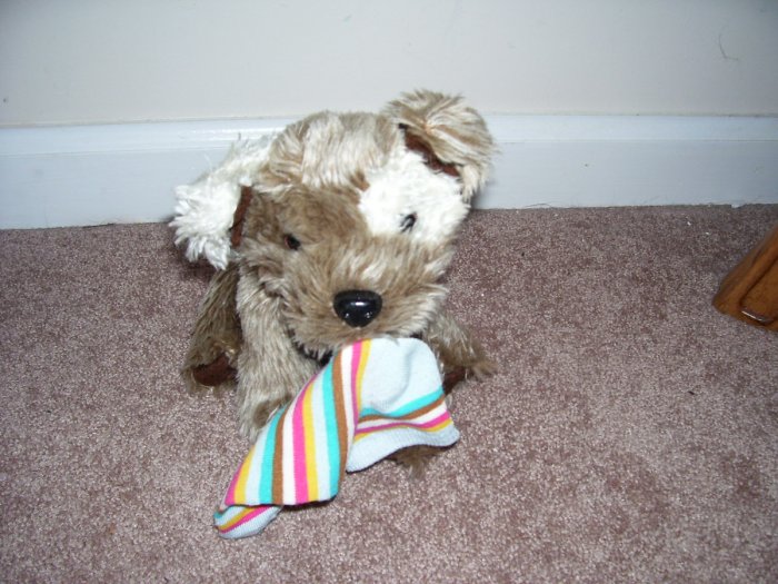 Animal Alley PUPPY WITH SOCK PLUSH EXCELLENT CONDITION! 9" SITTING TOYS R US BRAND