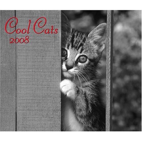 COOL CATS * 2008 * 20 MONTH WALL CALENDAR * NEW & SEALED!