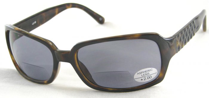 933RT-200 READING SUNGLASSES TINTED SUN READERS TORTOISE PLASTIC FRAME SMOKE LENSES +2.00 BIFOCAL