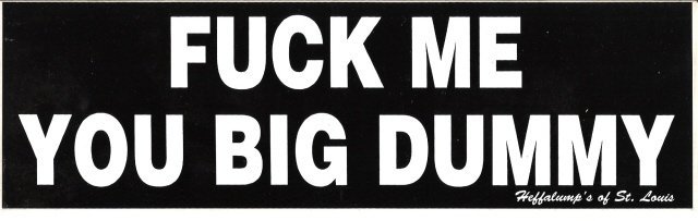 FUCK ME YOU BIG DUMMY Bumper Sticker