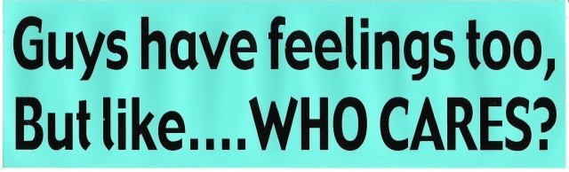 Guys have feelings too, But like WHO CARES? Bumper Sticker