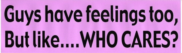 Guys have feelings too, But like WHO CARES? Bumper Sticker