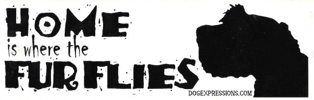 HOME is where the FUR FLIES Bumper Sticker