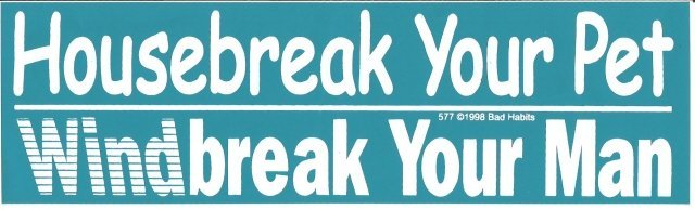 Housebreak Your Pet Windbreak Your Man Bumper Sticker