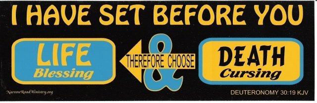 I HAVE SET BEFORE YOU LIFE & DEATH Bumper Sticker
