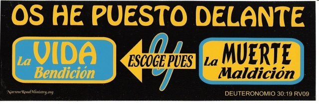 I HAVE SET BEFORE YOU LIFE & DEATH (SPANISH) Bumper Sticker