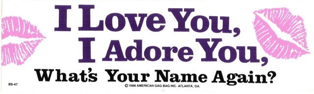 I Love You, I Adore You, What's Your Name Again? Bumper Sticker